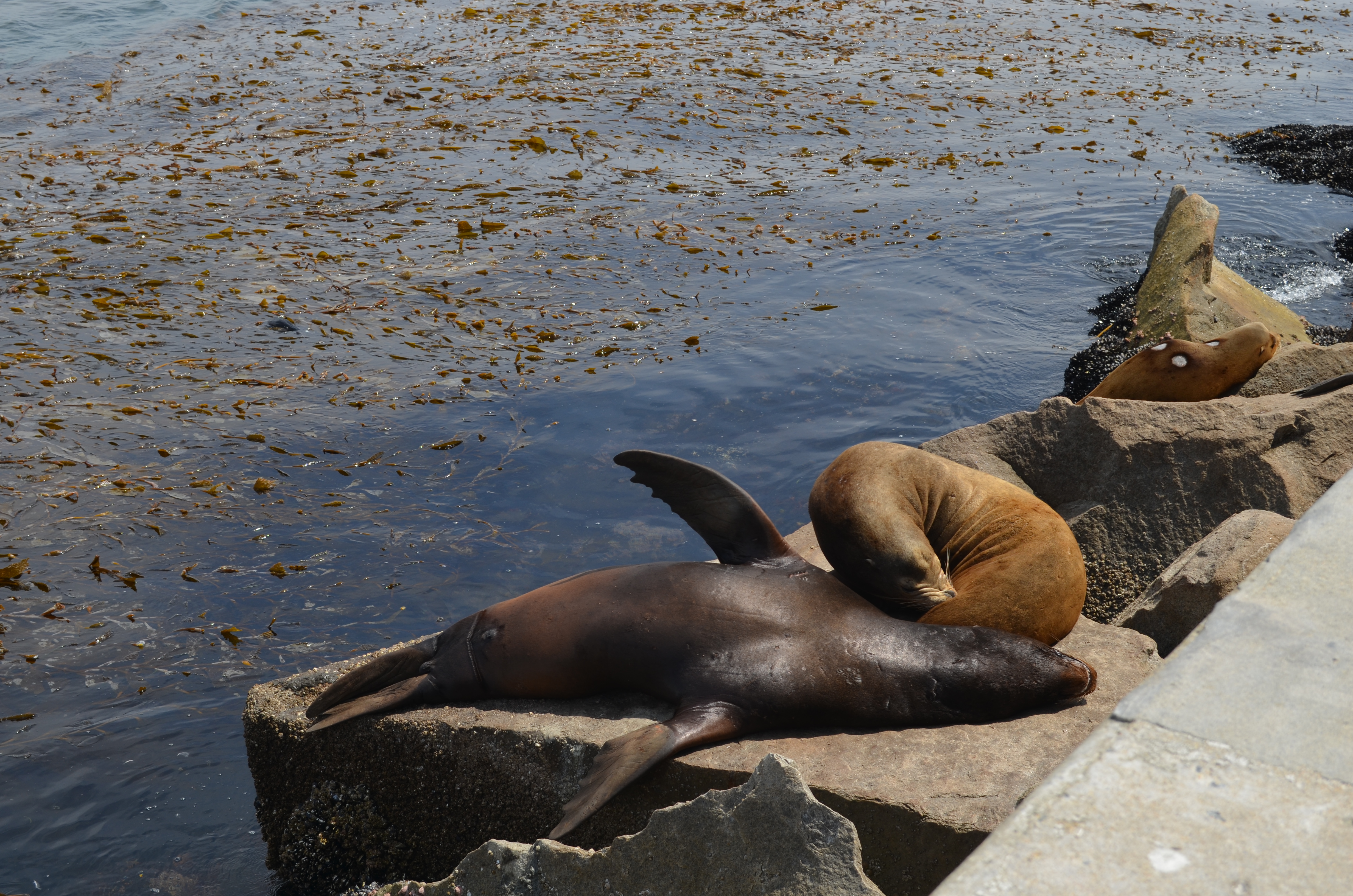 ./2018/09 - San Francisco/ASC_0526.JPG